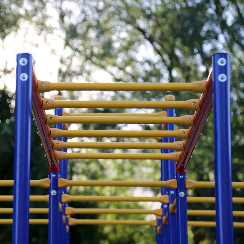 Skywalker Sports Sports Monkey Bar & Reviews Wayfair